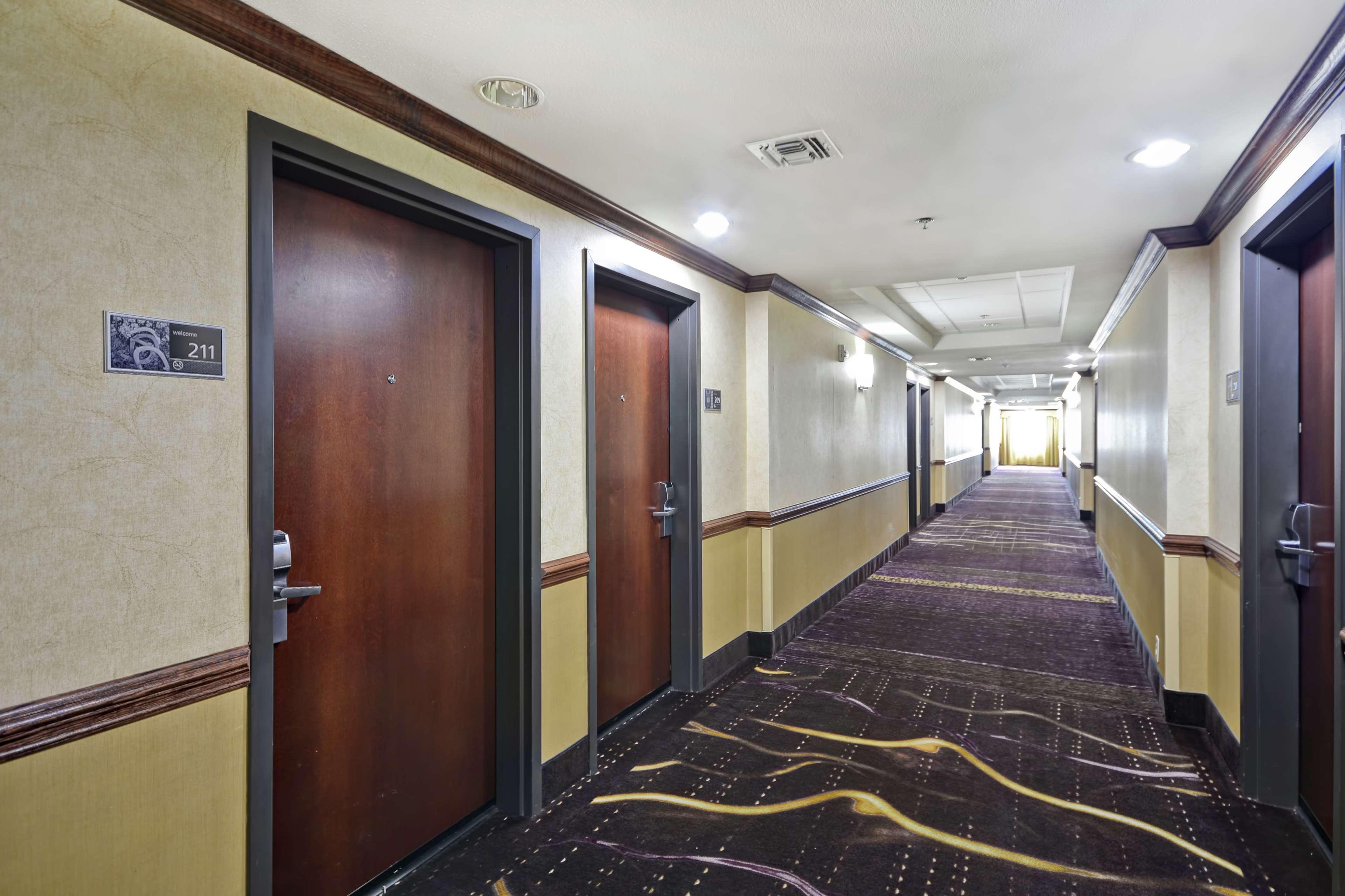 Hampton Inn & Suites Corpus Christi I-37 - Navigation Boulevard Bagian luar foto